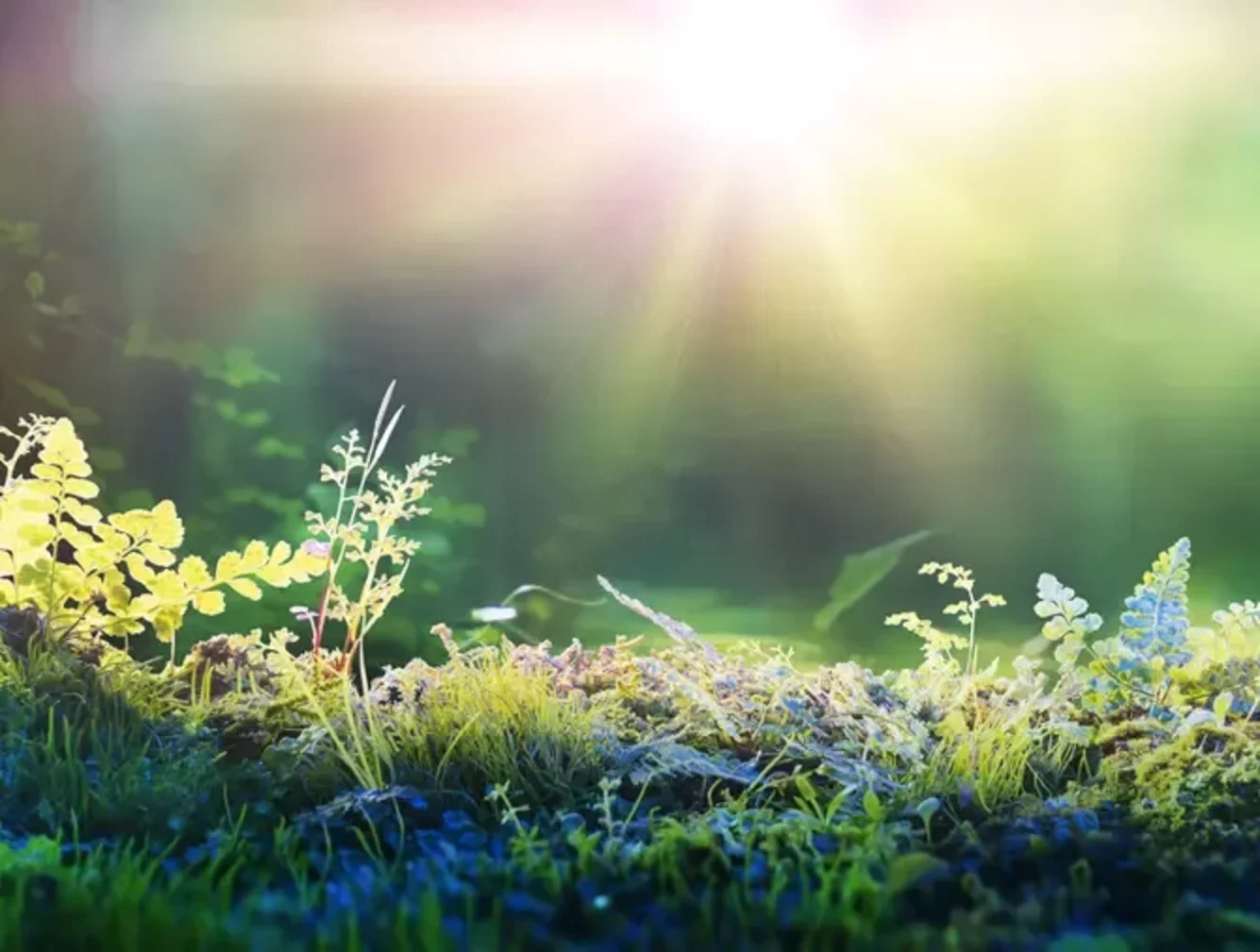 Sustainable Supply Chain