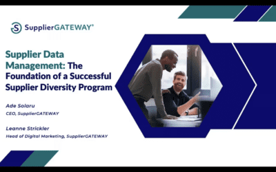 Enable a Data Driven Supplier Diversity Program