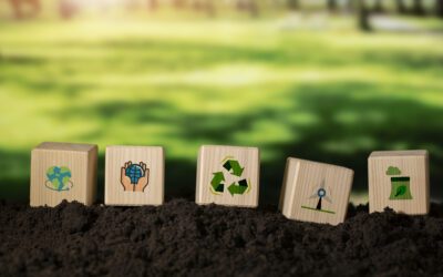 Prepare your business to meet the EU Corporate Sustainability Reporting Directive new requirements with SupplierGateway.