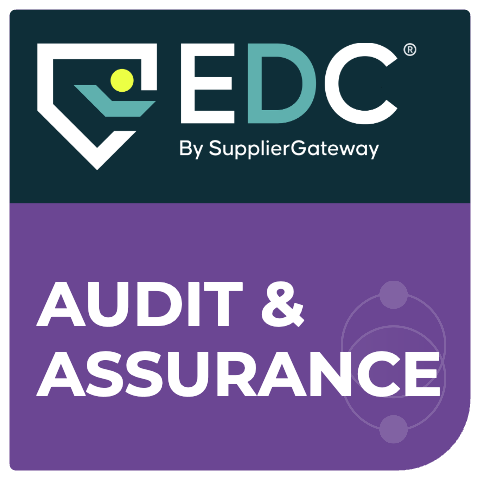 Audit & Assurance