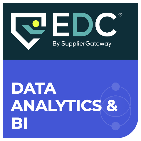 Data Analytics & BI