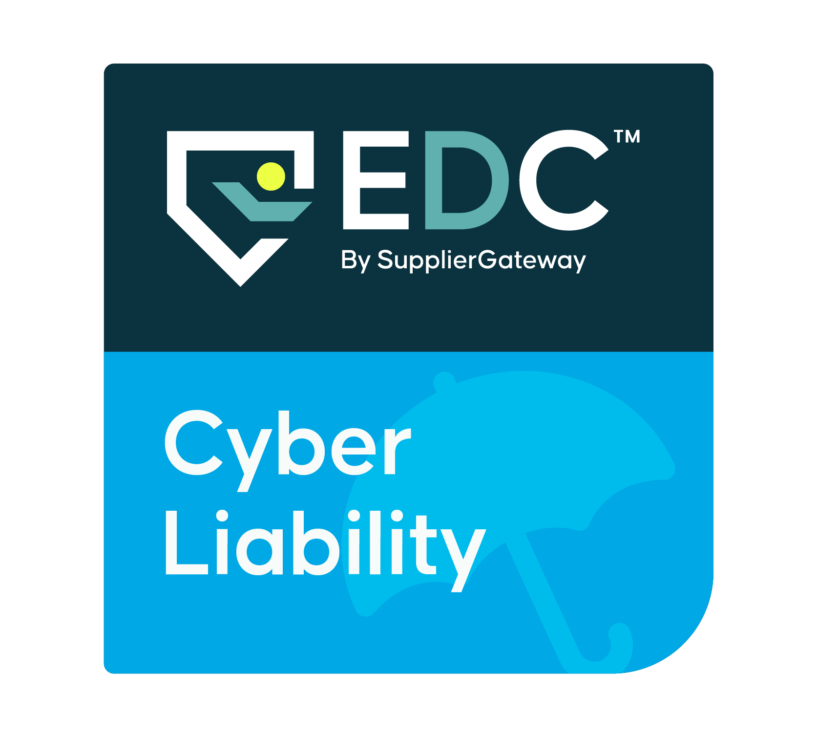 Cyber Liability