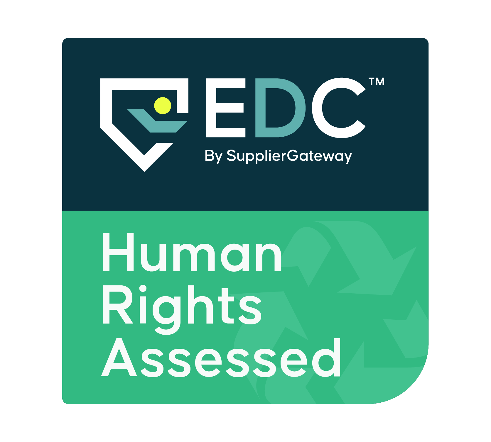 Human Rights Assessed